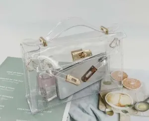 Mini Andrea Clear Bag