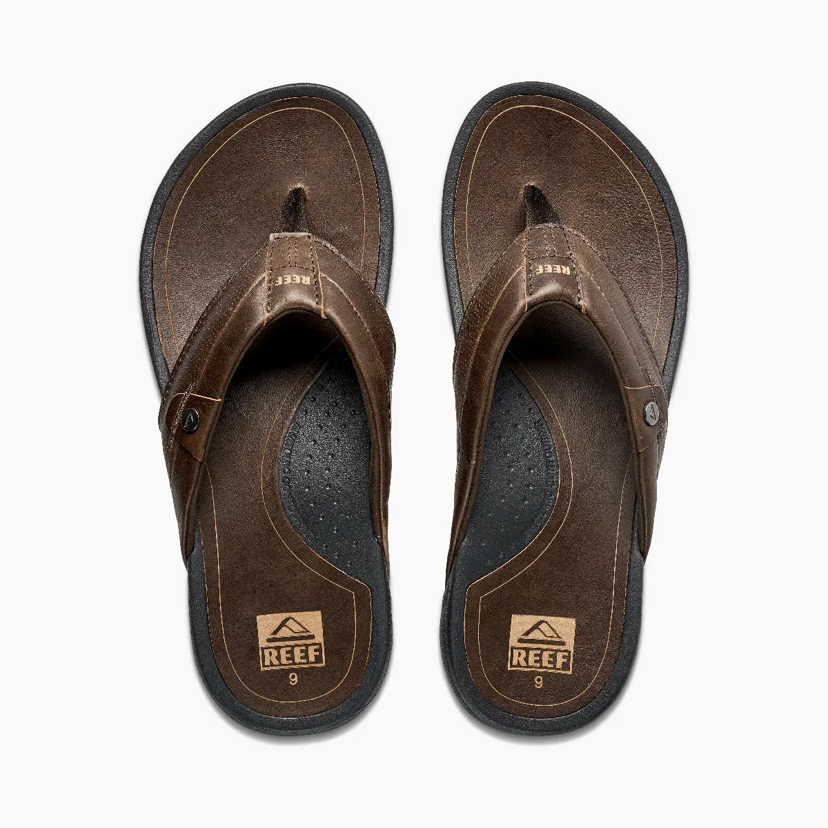 Reef Mens Pacific LE Dark Brown